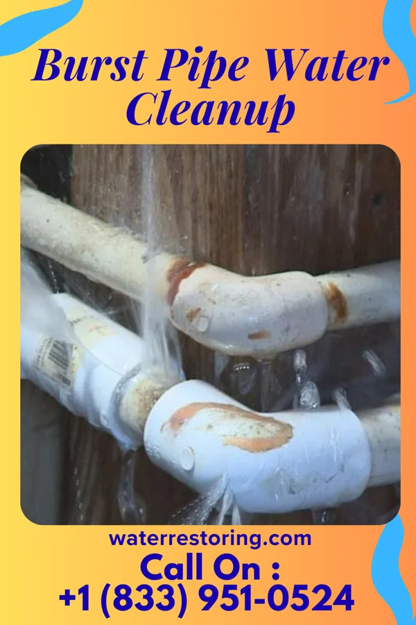 Burst Pipe Water Cleanup in Beacon Square, FL