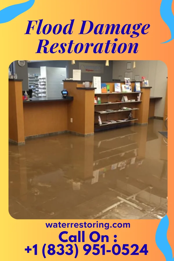 Flood Damage Restoration in Beacon Square, FL